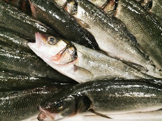 Sea bass, fresh fish, sale in the store. Healthy nutrition. Tasty meal. Healthy eating. Sale store.