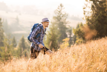 Bearded tourist man in hat with backpack hiking in mountains forest. Caucasian male hiker outdoors in nature.