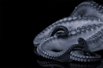 octopus tentacle seafood fresh cooking © sko