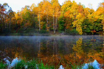 Pond with autumn fall color at dawn and reflections on the water