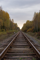Fototapeta na wymiar Railway going to the horizon