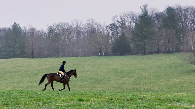Equestrian in open meadow in early spring