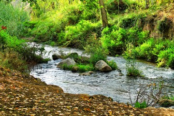Naklejka na ściany i meble Green landscape by the Tuejar river in Chelva