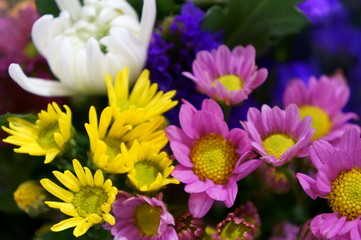 Chrysanthemum and other flower bouquets