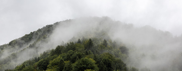 Beautiful foggy weater in Austria