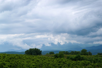 View of the storm clouds above the forest from car window