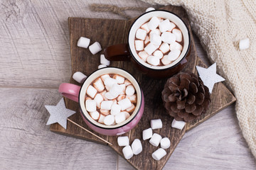 cup of hot chocolate with cinnamon and marshmallows