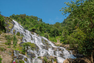 scenery view of waterfall in the lush green forest