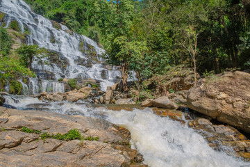 scenery view of waterfall in the lush green forest