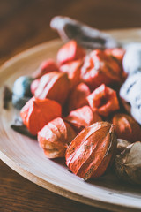 Physalis ou coqueret du Pérou séché en décoration d'intérieur