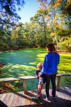 Conservation Coordinator and her son admire the view of the green plant-covered freshwater ponds at the nature center in the Nags Head Woods Preserve.