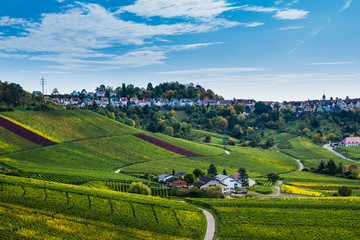 Germany, Stuttgart district rotenberg, a city on a hill, behind endless green vineyards nature...