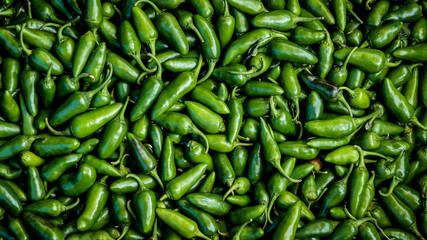 Green Chillis