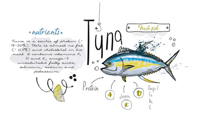 Fish hand drawn set watercolor ink, food vitamin menu restaurant, sketch cartoon vector illustration