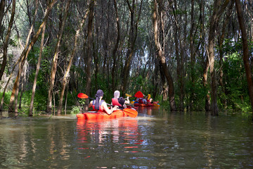 Group of friends kayaking in wilderness areas at Danube river among flooded trees in the forest at spring high water on Danube biosphere reserve.