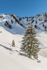 Verschneite Winterlandschaft im Berner Oberland