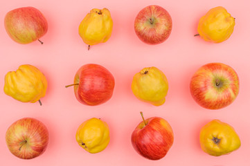Apples and quince on a pink background.