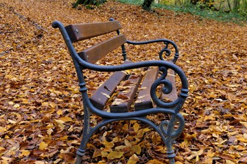 Wooden bench with autumn leaves