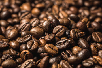 coffee beans on wooden background macro copy space