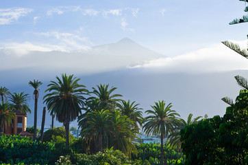 Fototapeta na wymiar Volcano of Tenerife - view from with forest