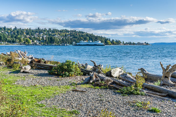 West Seattle Ferry Terminal Scene 4