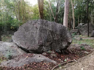 Strange stone in the gardent, The limestone and shale are mixed together layers, mainly Triassic age limestone gray type Biomicrite. There is noise and grain caused by the texture of the stone.