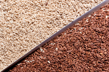 White and brown long rise as texture or background