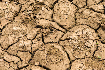 Dried up lake bed due to lack of rain showing dry cracked earth, Kenya, East Africa