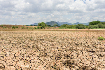 A dried up lake bed due to lack of rain with trees and hills in background, Kajiado County, Kenya