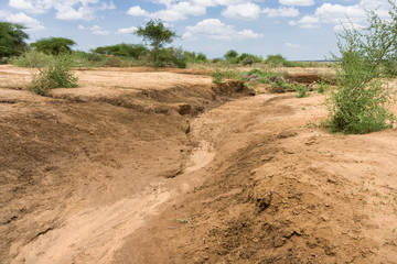 A dry dusty river bed due to lack of rain, Kajiado County, Kenya, East Africa