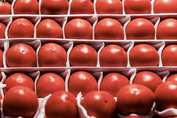 Rows of fresh red tomatoes, Farm Market Style
