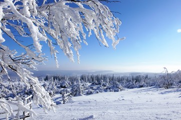 Hornisgrinde II