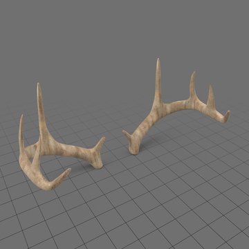 Antlers