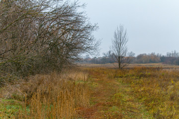 Old dirt road in the autumn forest