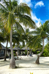 Tropical beach with bungalows