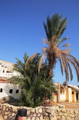 Fototapeta premium Camp bédouin Badawya ( Hurghada -Égypte)