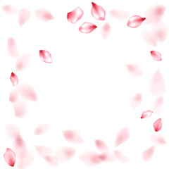 Pink sakura flower flying petals isolated on white vector background.