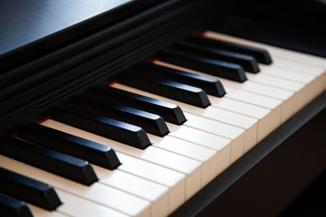 black white keys old for piano musicians