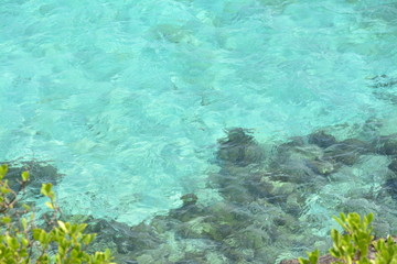 Beautiful view to San Andres Sea from the top of Crangrejo Island