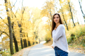 Portrait of brunette woman in casual wear in autumn park. Yellow colours around beautiful woman