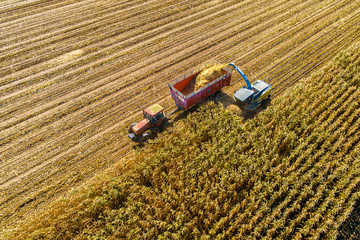 Harvest