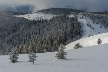 Fogs and clouds in winter Ukrainian Carpathians with snow-covered trees and mountain peaks
