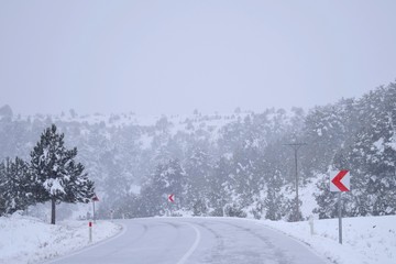 winter landscape with trees and snow