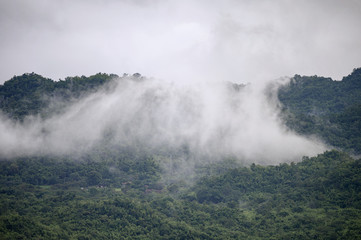 Foggy in tropical forest on hill
