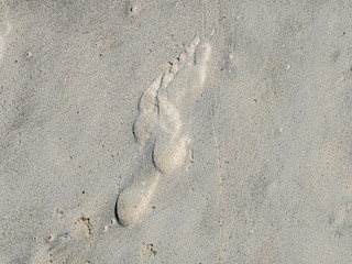 Footprints in sand. Close up.