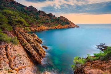 Vue générale sur la clanque de Méjean et son eau turquoise, au coucher du soleil avec en premier plan des arbres morts