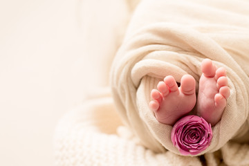 Obraz na płótnie Canvas Happy Mother's day. feet of the newborn baby with pink rose flower