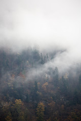 Fototapeta na wymiar A foggy day in Switzerland