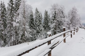 A bright winter in the Ukrainian Carpathian Mountains with snow-capped mountain peaks and picturesque meadows with mountain lodges and hikers.