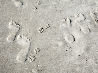 Footprints in sand. Close up.
